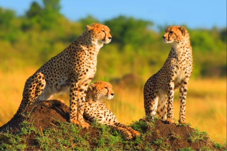 В Роспотребнадзоре предупредили об опасности в еще одной стране