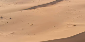 Французский турист объявил голодовку в тюрьме Ирана