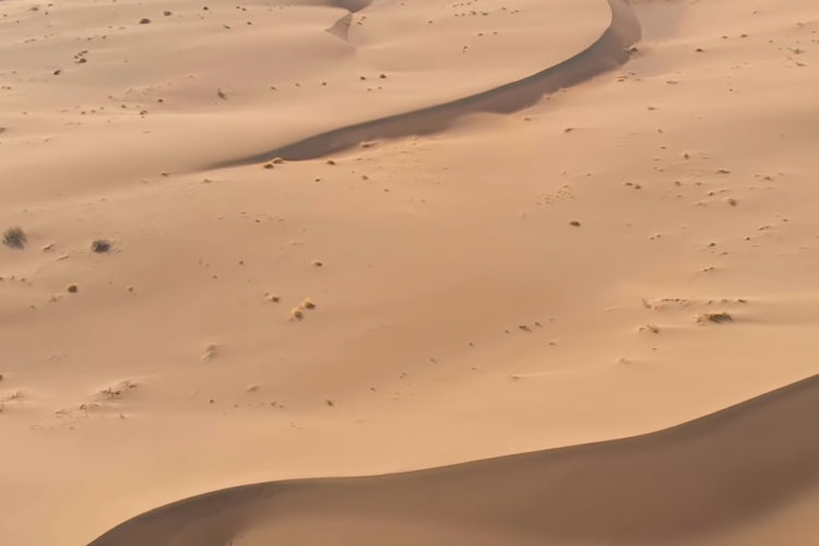 Французский турист объявил голодовку в тюрьме Ирана