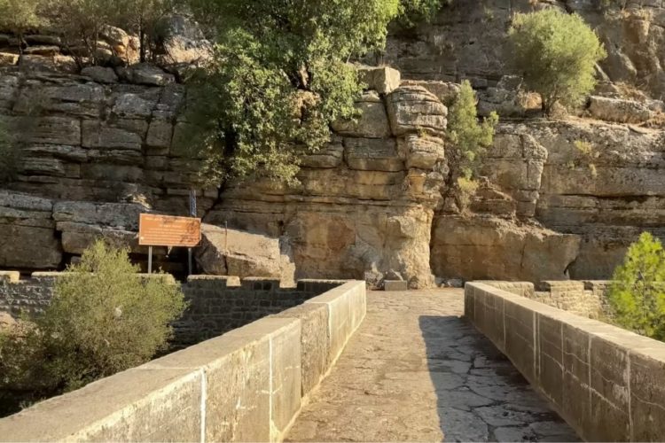 Турция упустила российский турпоток