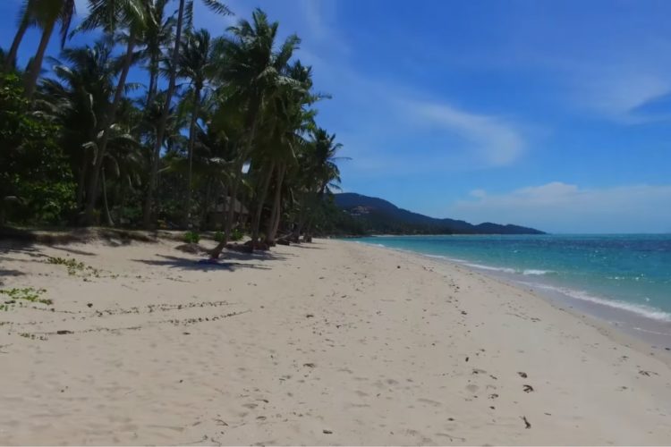 Турист сбежал из карантинного отеля в Таиланде до получения результатов теста