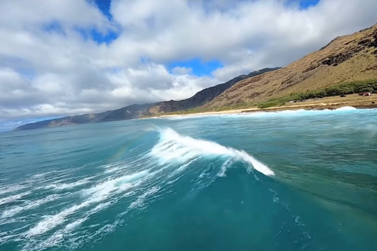 Гавайские острова сделали важное заявление на тему елок