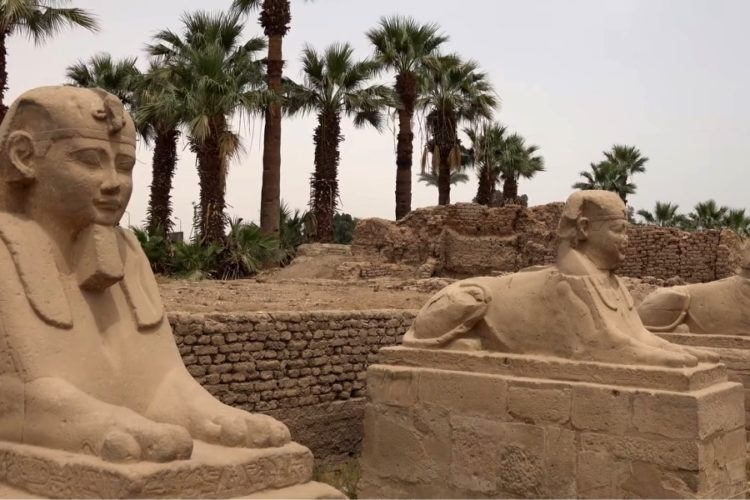 Новый штамм ковида не заставит россиян отказаться от Египта