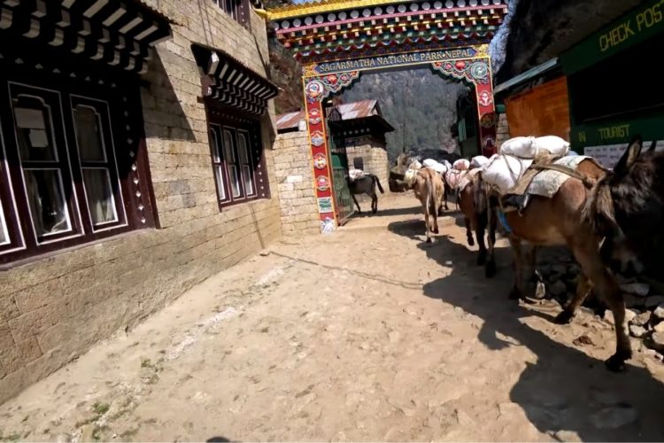 Эверест под вопросом - эпидситуация в Непале ухудшается