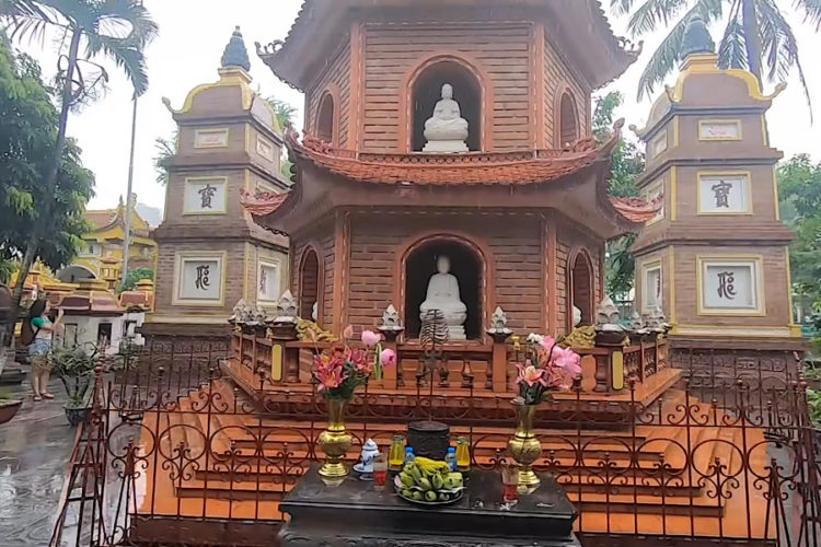 Новый штамм ковида уже во Вьетнаме