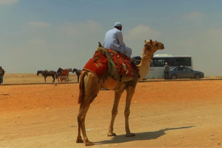 Дешевые туры в Египет заканчиваются