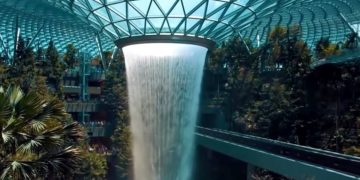 В аэропорту Чанги львы сбежали из клеток