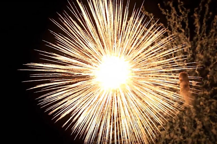 Как разные страны готовятся встречать этот Новый год