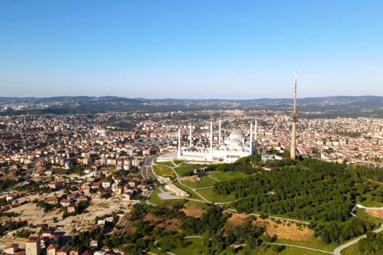 ВОЗ не считает необходимым введение ограничений для туристов