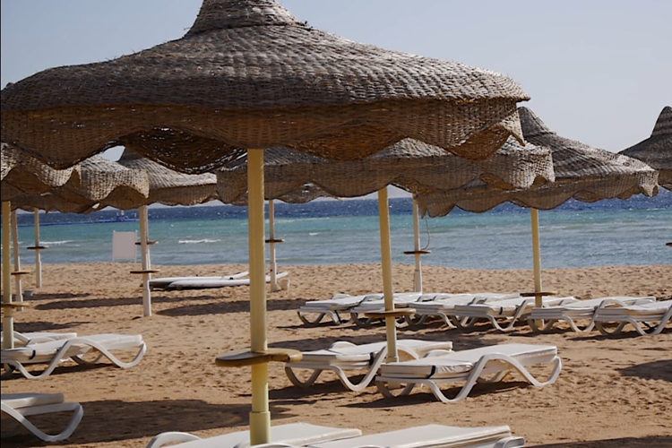 Можно ли получить европейский ковидный сертификат в Египте?