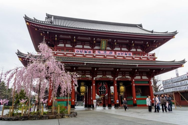 Запрет на бронирование билетов в Японию отменен из-за критики