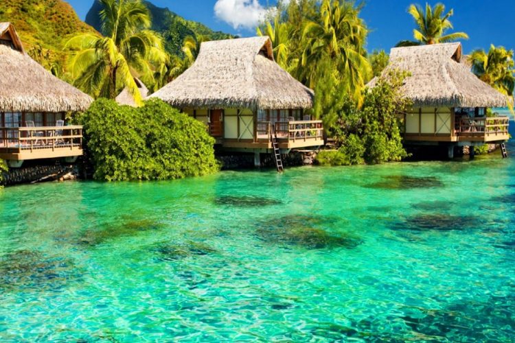 новость 01-12-2021 Филиппины откладывают открытие границ для международного туризма