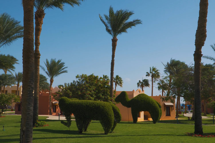 Египет придумал для туристов новый вид развлечений