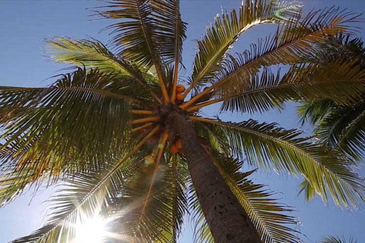 Уровень ковидной опасности в Таиланде повышен