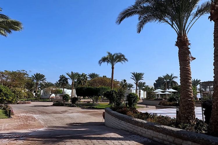 Туристы рассказали, что может ждать иностранца вне отеля в Египте