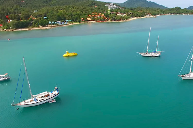 В популярной стране уже доминирует новый штамм COVID