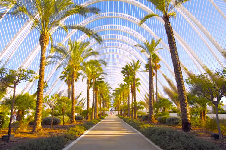 Какие азиатские курорты могут посещать российские туристы