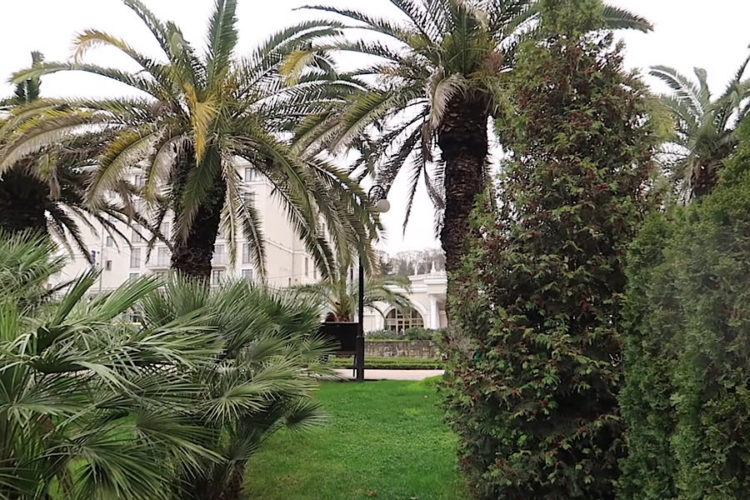 ВОЗ сообщает о рекордном росте больных ковидом