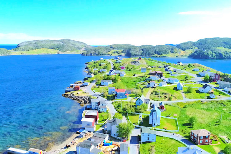 Еще одна организация выступает за снятие всех карантинных ограничений