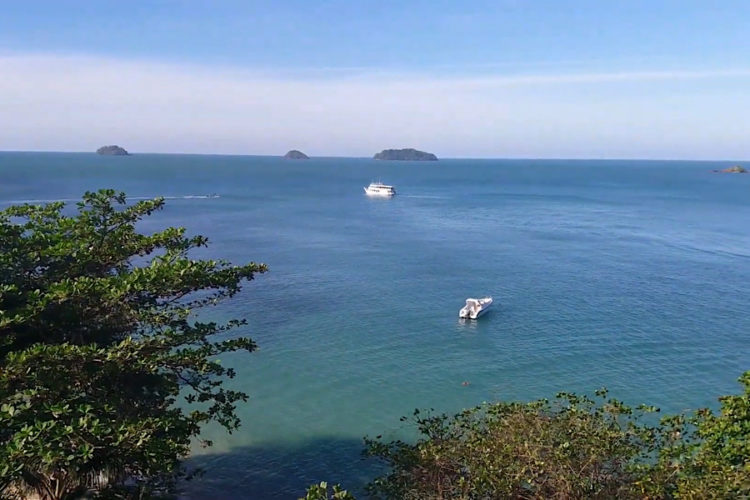 Туристы испытывают трудности при получении Thai Pass