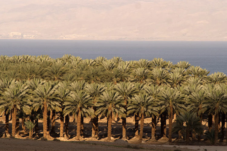 Израиль одобрил пока одну российскую лабораторию