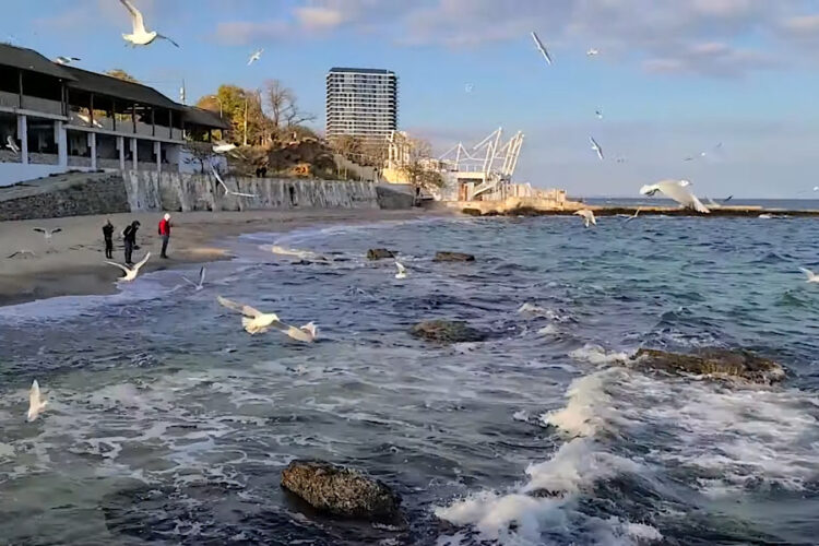Египет собирается сфокусировать еще больше внимания на туристах