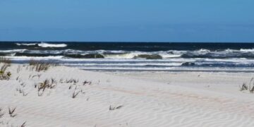 Тунис станет фаворитом лета, если рейсы полетят в обозначенном количестве