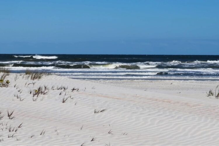 Тунис станет фаворитом лета, если рейсы полетят в обозначенном количестве