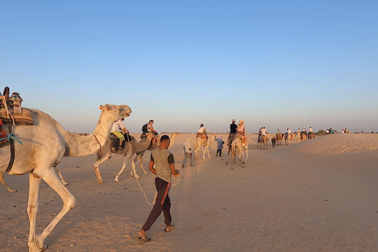 ANEX Tour позитивно оценивает спрос на туры в Тунис