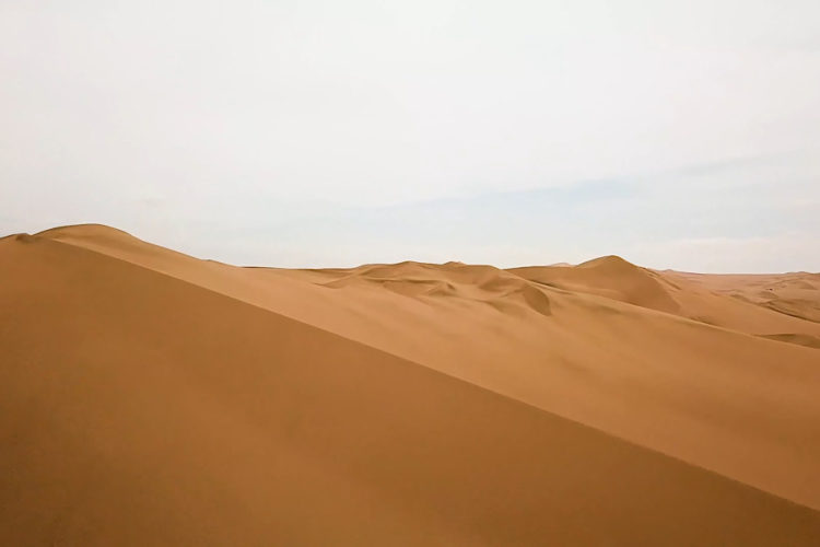 ANEX Tour: В феврале наиболее массовыми стали 4 страны