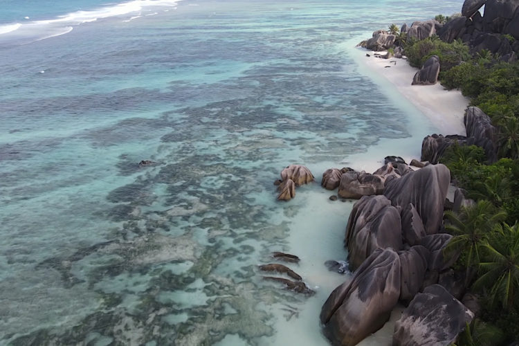 Россия смогла побить собственный рекорд на Сейшелах