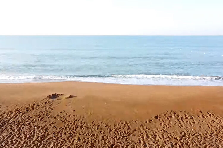 Туристам пригрозили тюрьмой в Хургаде из-за потери телефона