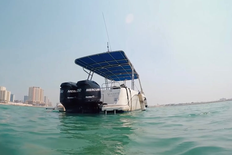 Бахрейн дал больше свободы переболевшим ковидом