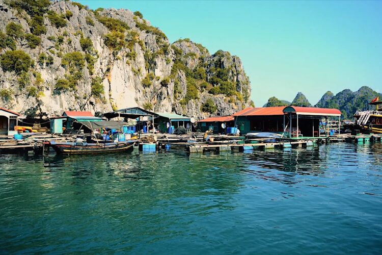 Вьетнам смягчил правила приема туристов