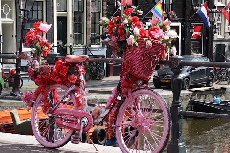 Туристам разрешили паковать чемоданы в "Страну тюльпанов"