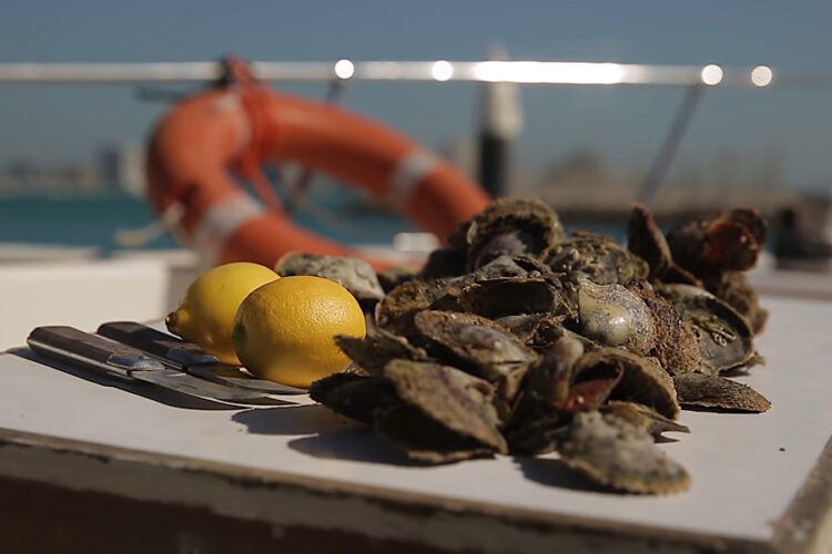 Ближний Восток начал оперативнее открываться для туризма