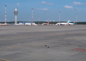 Авиакомпании будут отчитываться о стоимости билетов в ФАС