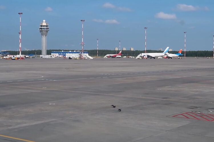 Авиакомпании будут отчитываться о стоимости билетов в ФАС