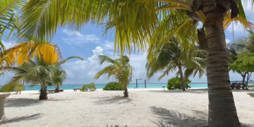 Опрос объяснил, почему молодожены меньше едут в свадебные путешествия