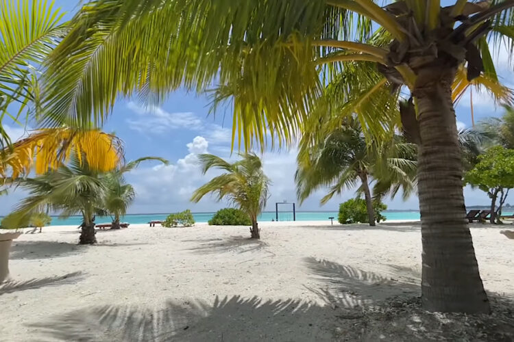 Опрос объяснил, почему молодожены меньше едут в свадебные путешествия