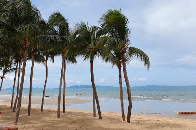 В Таиланде озвучили новую вирусную угрозу