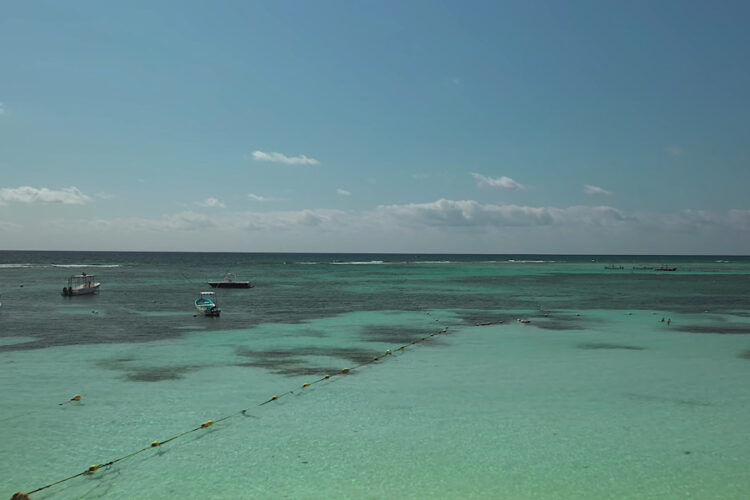 Назван главный кандидат для организации пересадок россиян