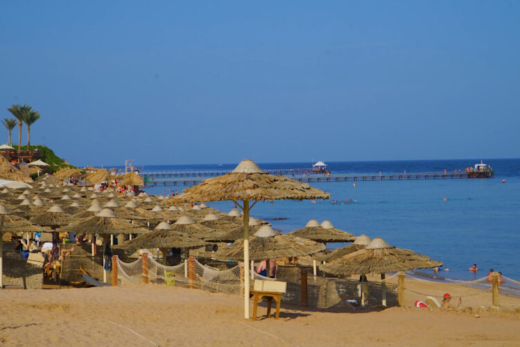 Уральские Авиалинии приостановили рейсы в Египет