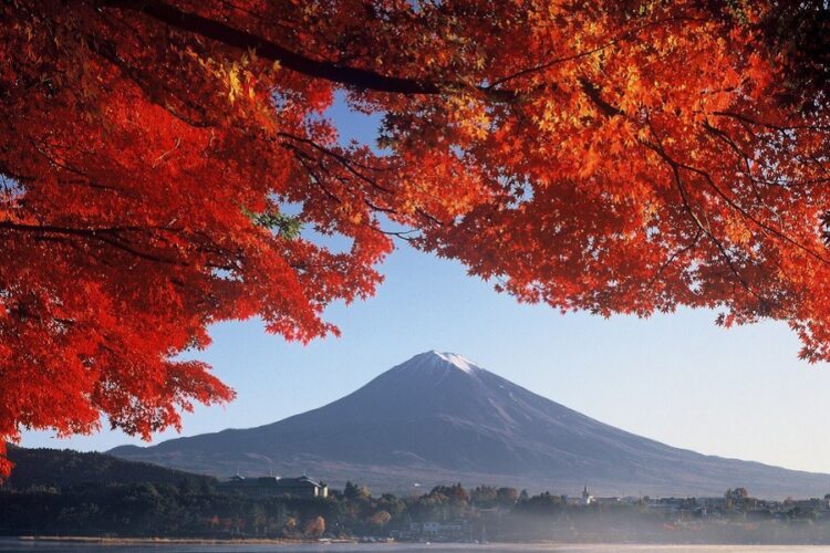 новость 28-09-2022 Япония разрешит въезд самостоятельным туристам