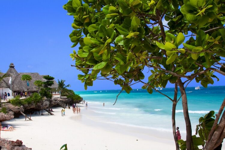 новость 08-09-2022 Как российскому туристу попасть в Занзибар?