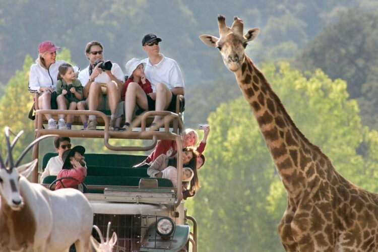 новость 27-10-2022 Африка в этом году набирает популярность у российских туристов