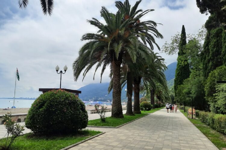 новость 27-10-2022 Как продаются и сколько стоят новогодние туры в Абхазию?