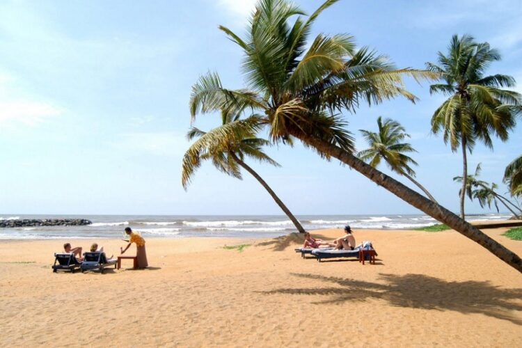 новость 07-12-2022 Рейсы на Шри-Ланку подешевеют