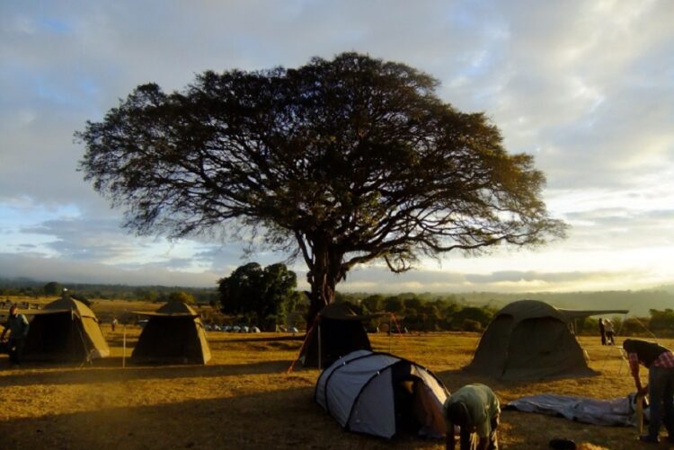 новость 06-12-2022 Российские туристы выбирают на Новый год Африку