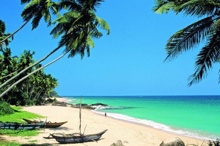 новость 21-12-2022 Шри-Ланка в числе самых популярных направлений на Новый год